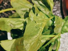 -京炭铜锅涮肉·羊蝎子·羊肉炉(保利·时光里店)