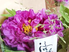 -隋唐大运河文化博物馆