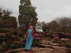 -秀丽东方