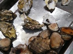 -渔民船说·北塘海鲜·天津菜·海肠捞饭(北塘古镇店)