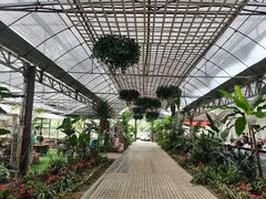 -三圣花乡旅游区