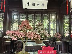 -上海醉白池公园