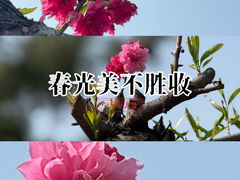 -塘沽森林公园