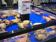 -盒马X会员店(王府井奥莱UP TOWN店)