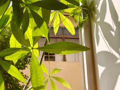 -贵州沾水米线(学田湾店)