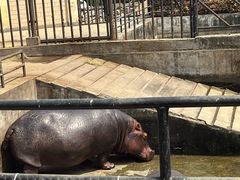 -合肥野生动物园