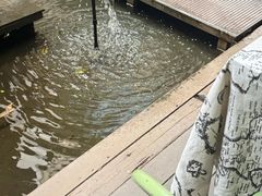 -绿房子方寸咖啡(星海名城店)