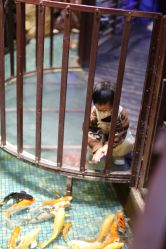 -酷嗒动物文化乐园(cutezoo西溪乐天城店)