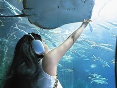 -洛阳龙门海洋馆