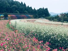 -中国香山·寿香谷
