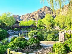 -天涯山