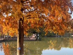 -浙江农林大学(东湖校区)