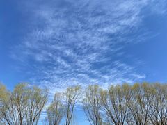 -野鸭湖国家湿地公园