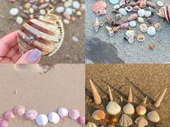 -巧克力渔家.小船海鲜胶东菜(万平口店)