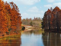 -上海海湾国家森林公园