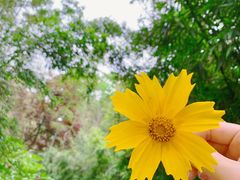 -菊花台公园