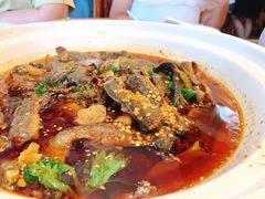 情妹耙泥鳅-情妹耙泥鳅·江湖川菜(科华店)