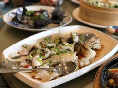 蒸桂花鱼-沙龙酒家