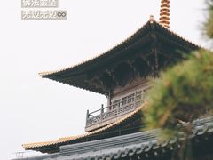 -广富林郊野公园