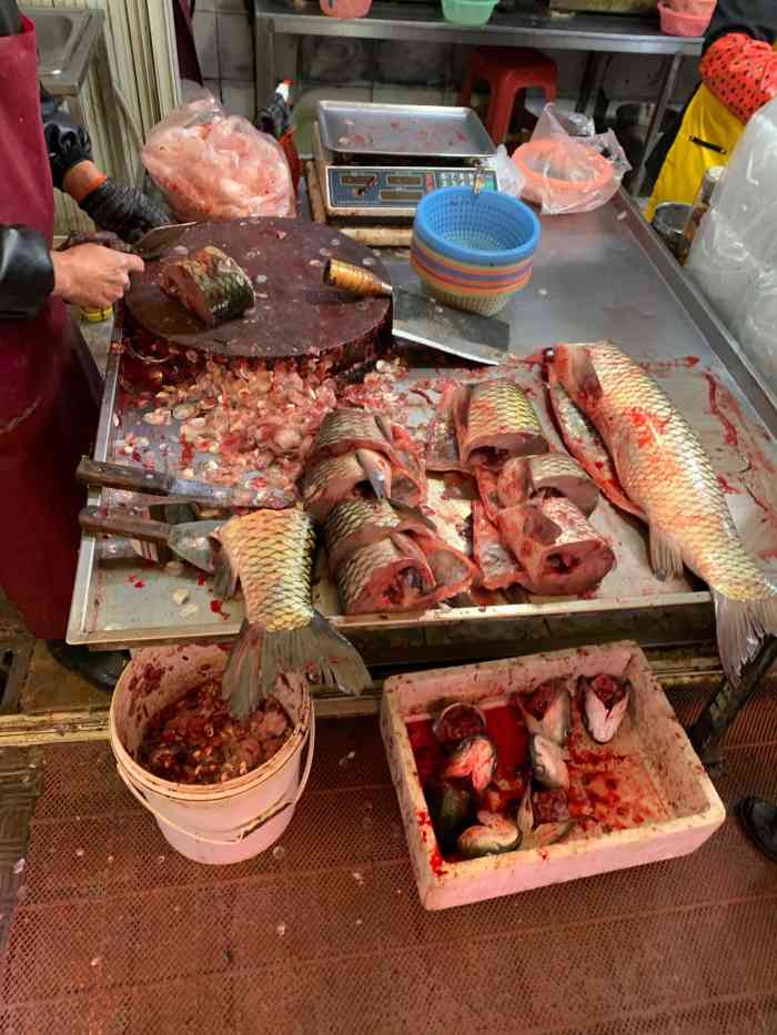 张阿姨老摊头活杀爆鱼-"久闻大名,特地冒着雨到三合一拔草.大概是.