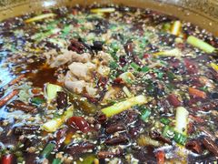 壁山兔-瓦房兔(璧山店)