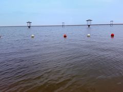 -碧海金沙
