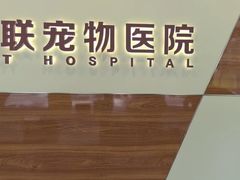 -派联宠物医院·24h·CT·异宠