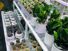 -KKV(深圳宏发大仟里店)