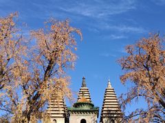 -北京石刻艺术博物馆(五塔寺)