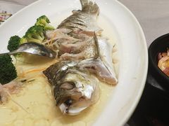 -上海精菜馆(虎踞关店)