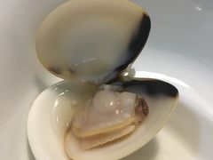 -拾下卜卜贝•海鲜火锅
