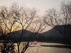 -牛New寿喜烧(龙湖金沙天街店)
