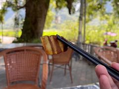 -遇龙河大樟树农家乐