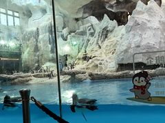 -帝企鹅自助餐厅•儿童岛•真企鹅(长隆企鹅酒店)