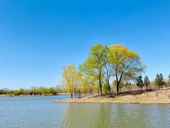 -东郊湿地公园