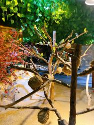 -酷嗒动物文化乐园(cutezoo西溪乐天城店)