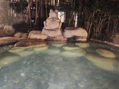 -天目湖涵田半山温泉