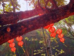 -云溪植物园