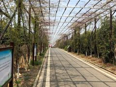 -武汉紫薇都市田园