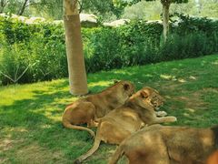 -北京野生动物园