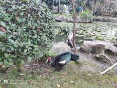 -洪湖家庭农场·团建·露营·会议