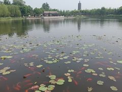 -西海子公园