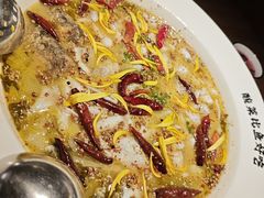 老坛子酸菜鱼-太二酸菜鱼(沈阳万象城店)