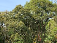 -WeLope紫金山探险公园