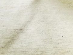 -家味螺蛳粉&烤鱼(五角场店)