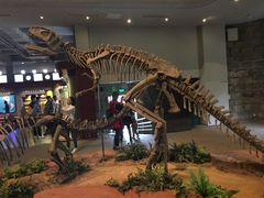 -自贡恐龙博物馆