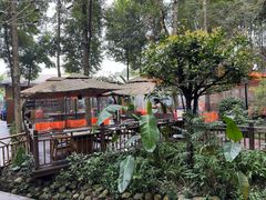 -二荆条·蜀鲜汇城市森林火锅