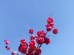 -蜀冈西峰生态公园