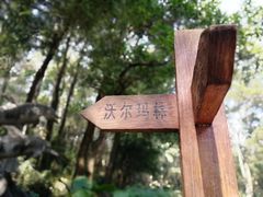 -狐尾山公园
