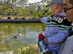 -新疆天山野生动物园